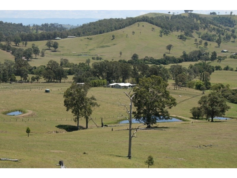 Dungog NSW 2420