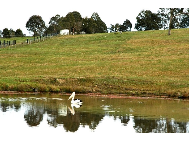 Clarence Town NSW 2321