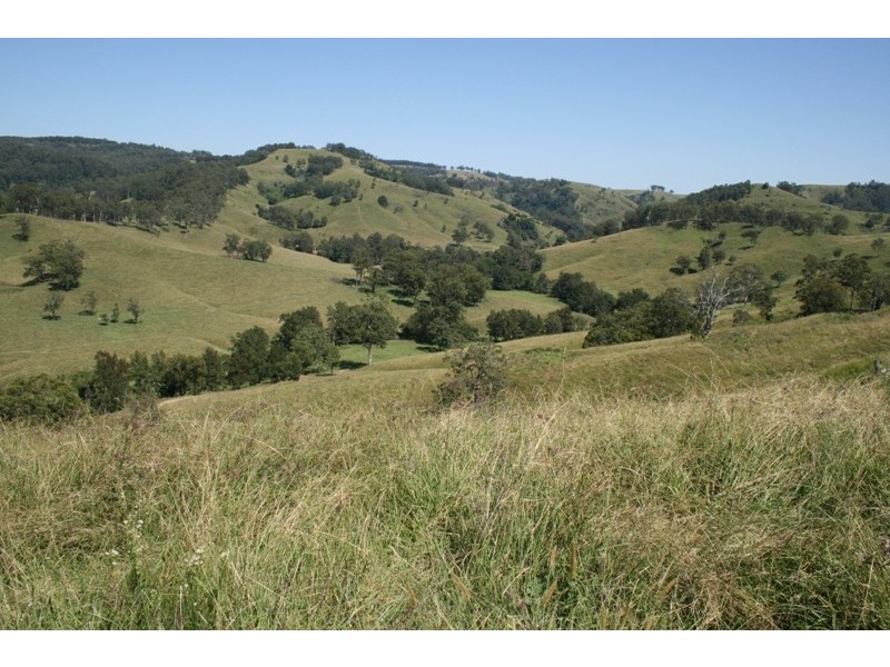 583 Wallaringa Road, Dungog NSW 2420