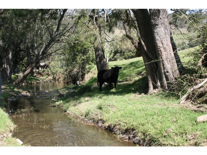 583 Wallaringa Road, Dungog NSW 2420