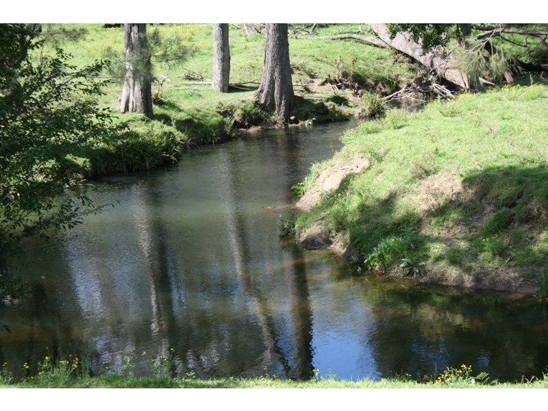 583 Wallaringa Road, Dungog NSW 2420