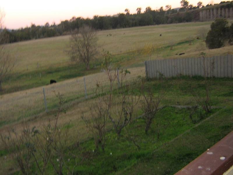 Dungog NSW 2420