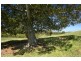 Clarence Town NSW 2321