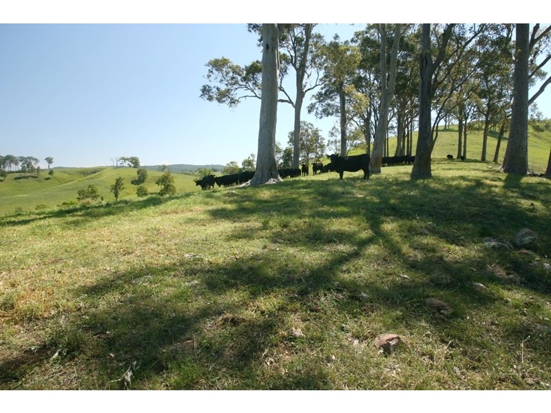 Clarence Town NSW 2321