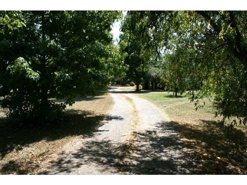 5 Main Creek Road, Dungog NSW 2420