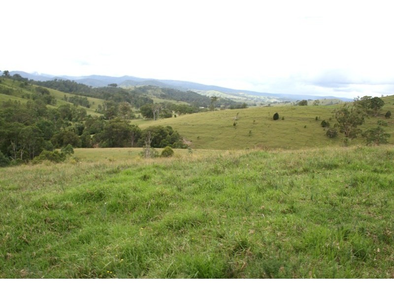 Dungog NSW 2420