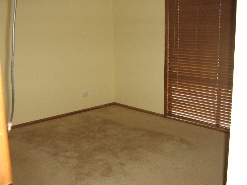 Dungog NSW 2420