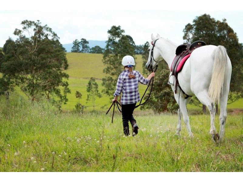 838 Limeburners Creek Road, Clarence Town NSW 2321
