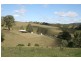 282 Parks Creek Road, East Gresford NSW 2311