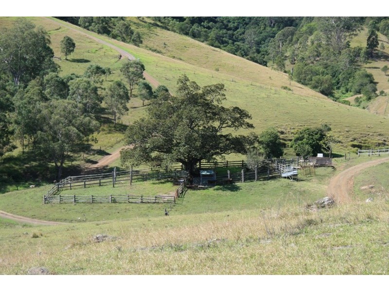 282 Parks Creek Road, East Gresford NSW 2311