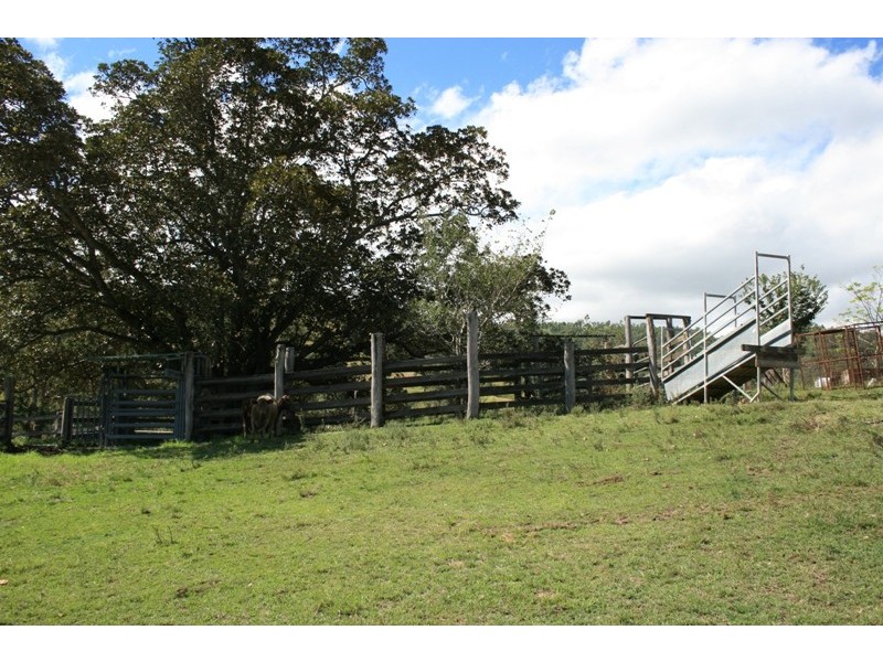 282 Parks Creek Road, East Gresford NSW 2311