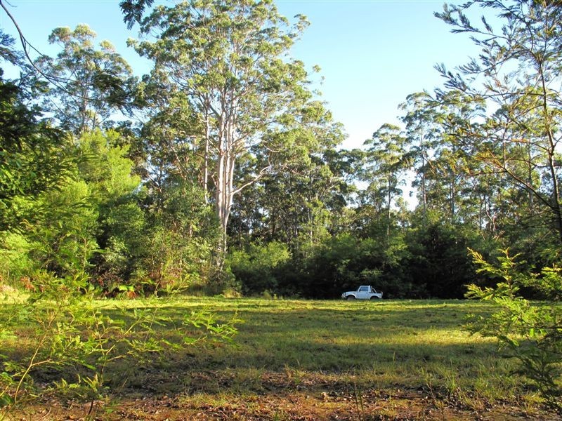 319 Wangat Trig Road, Dungog NSW 2420
