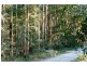 319 Wangat Trig Road, Dungog NSW 2420