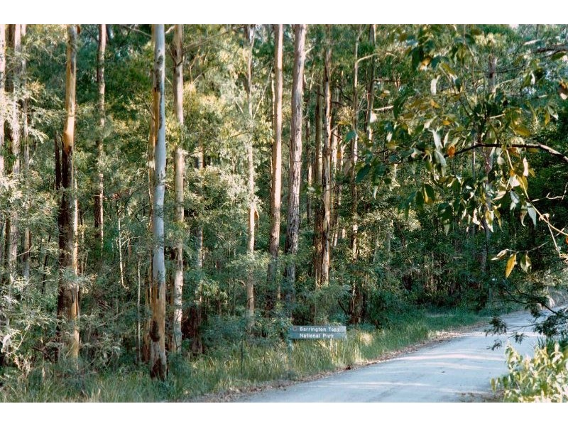 319 Wangat Trig Road, Dungog NSW 2420