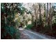 319 Wangat Trig Road, Dungog NSW 2420