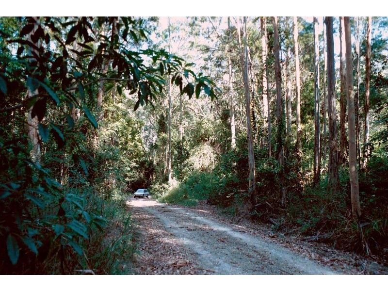 319 Wangat Trig Road, Dungog NSW 2420