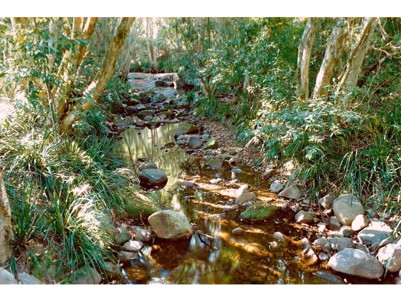 319 Wangat Trig Road, Dungog NSW 2420