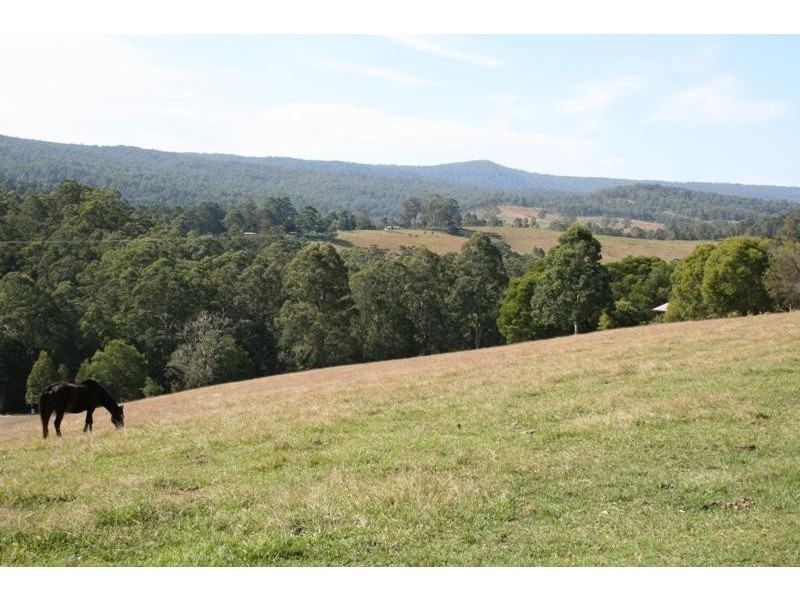 Lot 11 Chichester Dam Road, Dungog NSW 2420