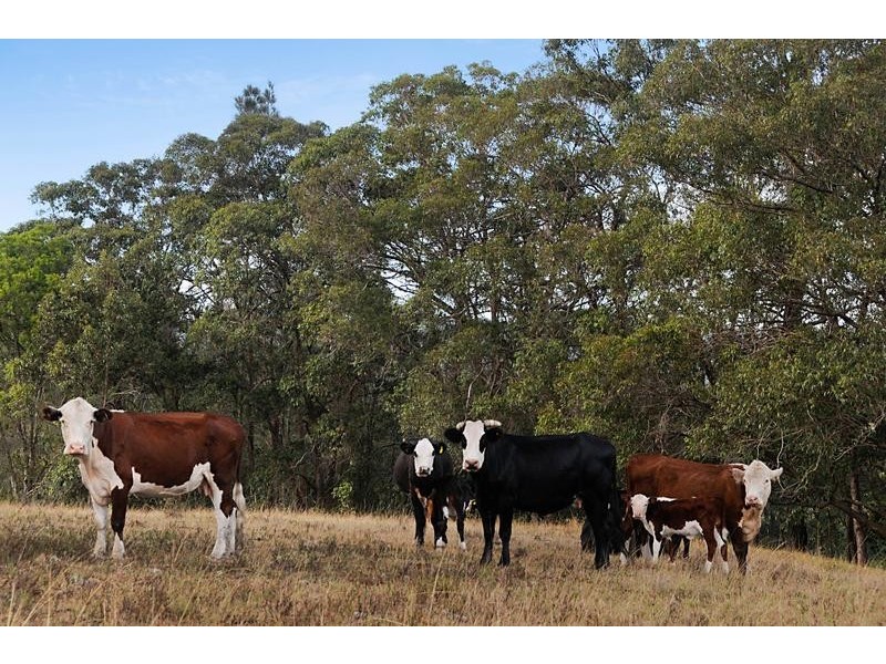 Lot 2 East Seaham Road, Clarence Town NSW 2321