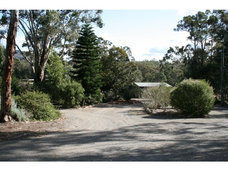 569 Martins Creek Road, Paterson NSW 2421