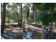 569 Martins Creek Road, Paterson NSW 2421