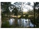 569 Martins Creek Road, Paterson NSW 2421