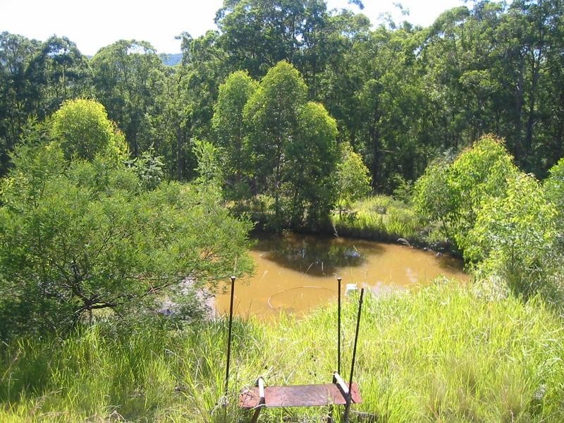 260 Skimmings Gap Road, Dungog NSW 2420