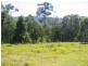 260 Skimmings Gap Road, Dungog NSW 2420