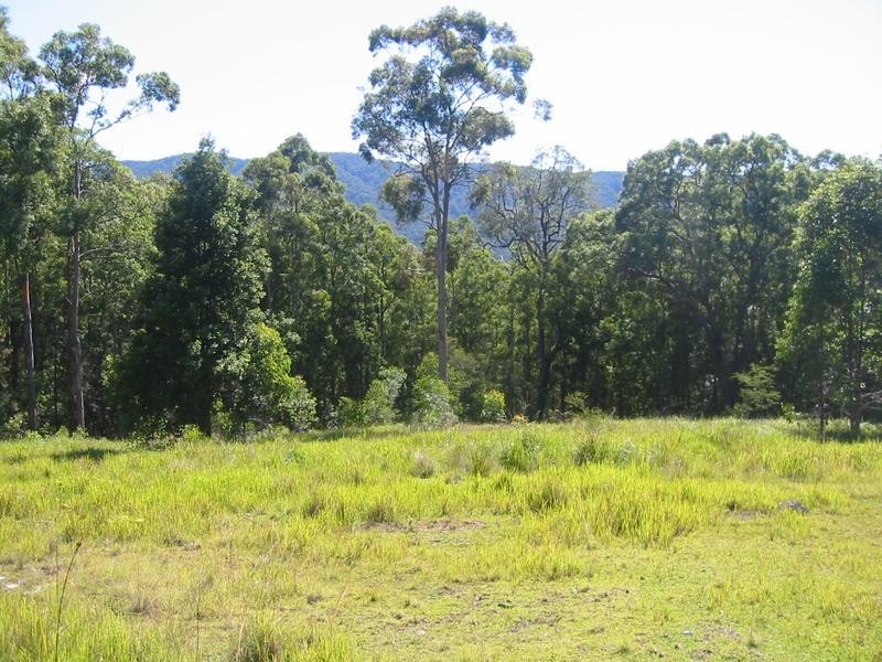 260 Skimmings Gap Road, Dungog NSW 2420