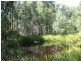260 Skimmings Gap Road, Dungog NSW 2420