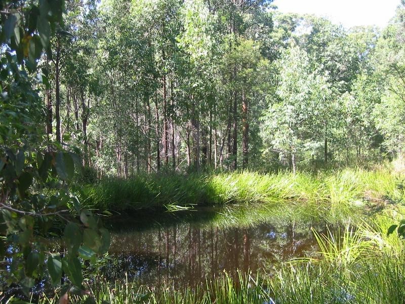 260 Skimmings Gap Road, Dungog NSW 2420