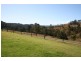 1213 Stroud Hill Road, Dungog NSW 2420