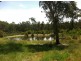554 Limeburners Creek Road, Clarence Town NSW 2321