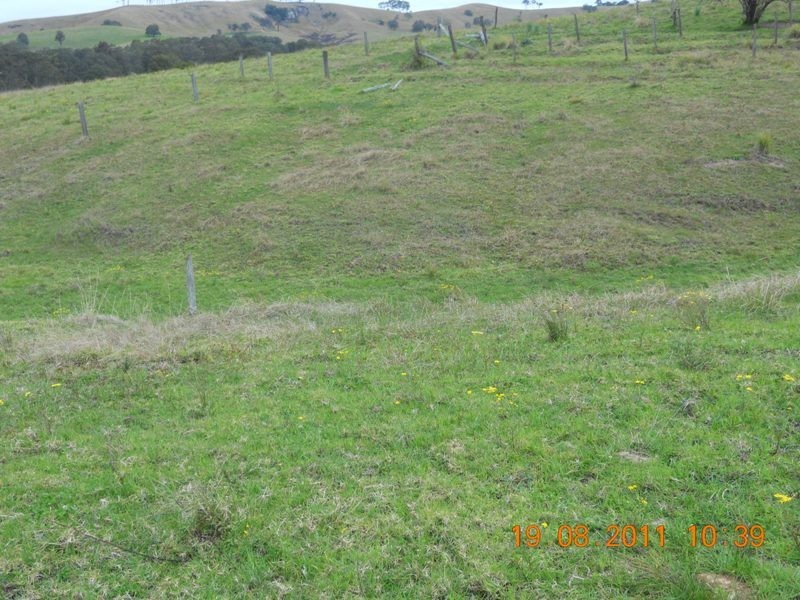 Clarence Town NSW 2321