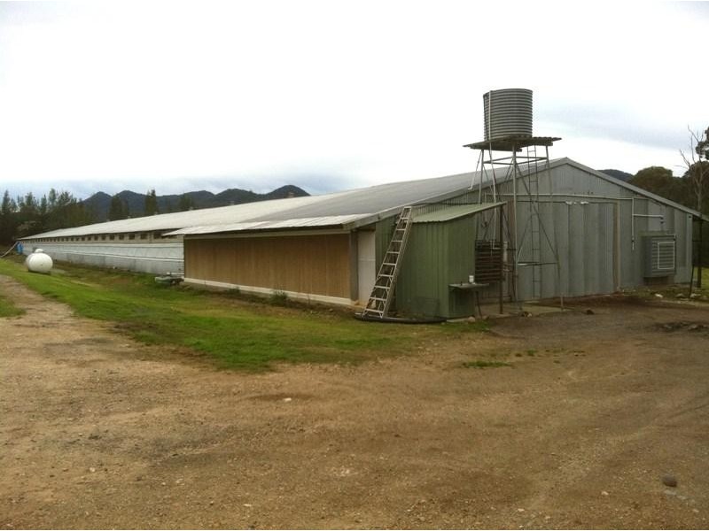 6 Cowper Street, Stroud NSW 2425