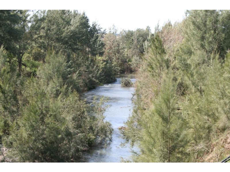 121 Torryburn Road, Gresford NSW 2311