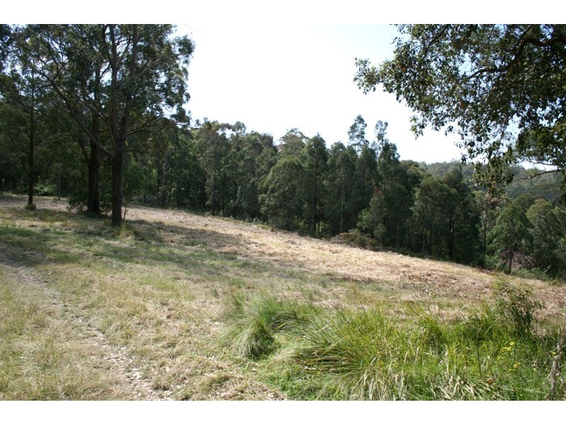 1297 Monkerai Road, Dungog NSW 2420