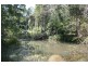1297 Monkerai Road, Dungog NSW 2420