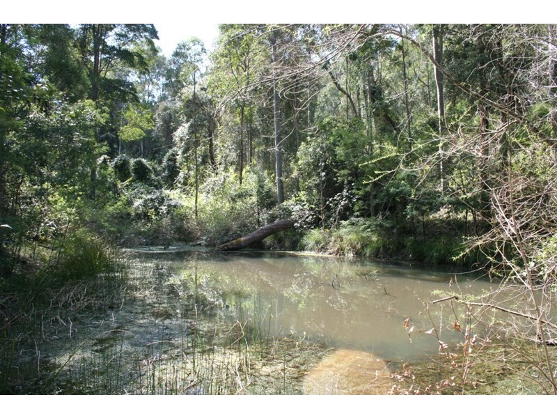 1297 Monkerai Road, Dungog NSW 2420