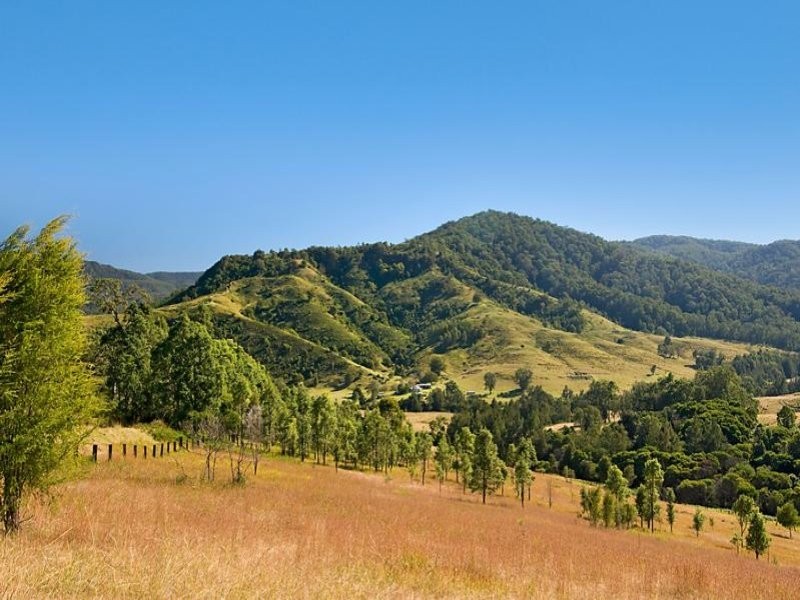 Cnr Paterson and Boonabilla Road, Gresford NSW 2311