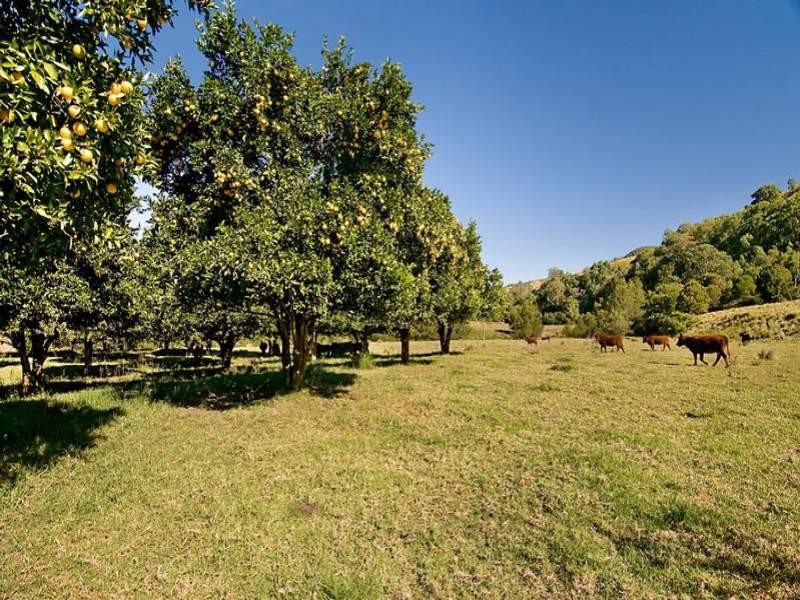 Cnr Paterson and Boonabilla Road, Gresford NSW 2311