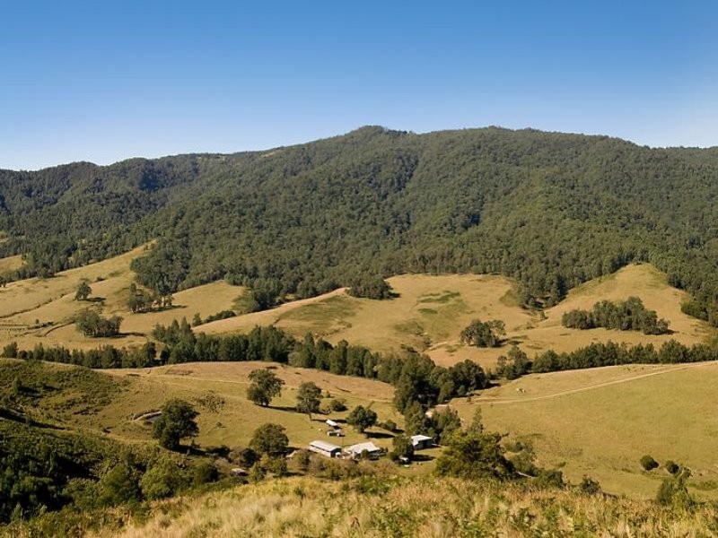 Cnr Paterson and Boonabilla Road, Gresford NSW 2311