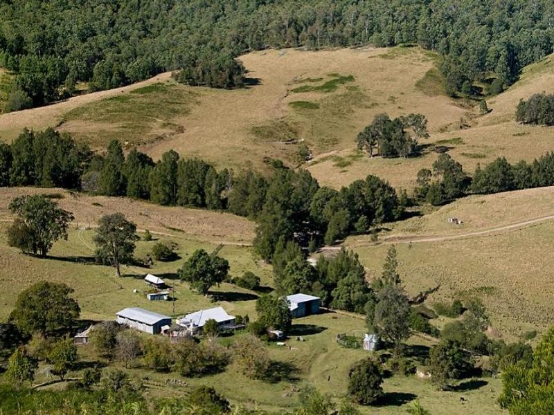 Cnr Paterson and Boonabilla Road, Gresford NSW 2311