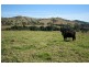 Lot 2, 450 Chichester Dam Road, Dungog NSW 2420