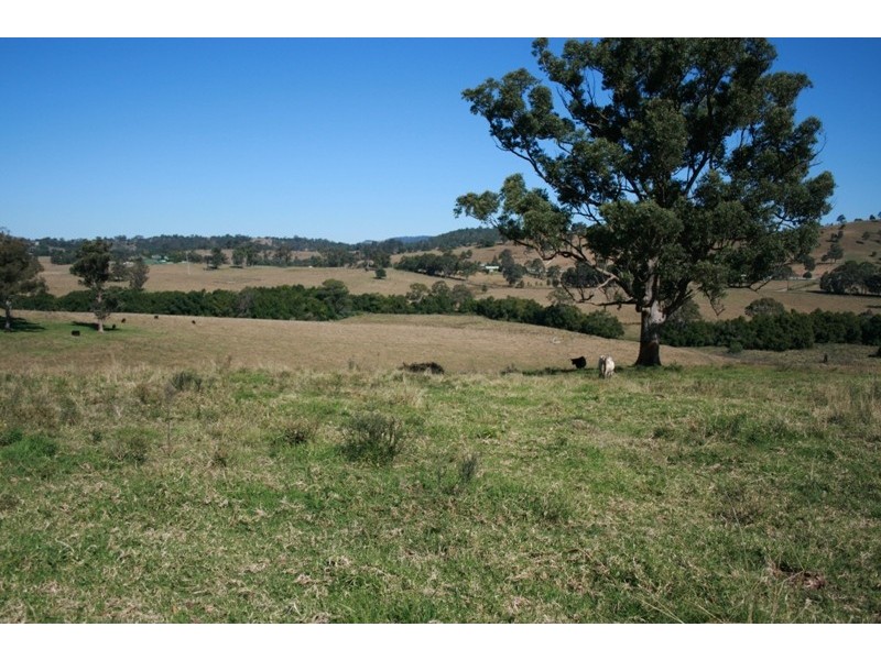 Lot 2, 450 Chichester Dam Road, Dungog NSW 2420