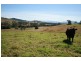 Lot 2, 450 Chichester Dam Road, Dungog NSW 2420