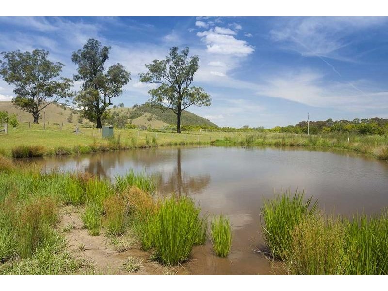 564 Chichester Dam Road, Dungog NSW 2420