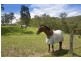 564 Chichester Dam Road, Dungog NSW 2420