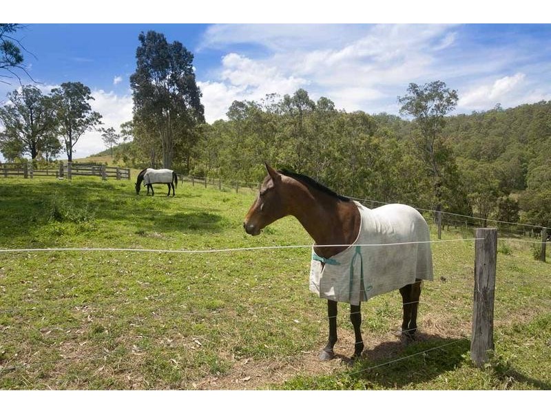 564 Chichester Dam Road, Dungog NSW 2420