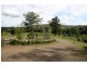 564 Chichester Dam Road, Dungog NSW 2420